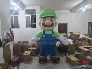 Supper Mario Costume