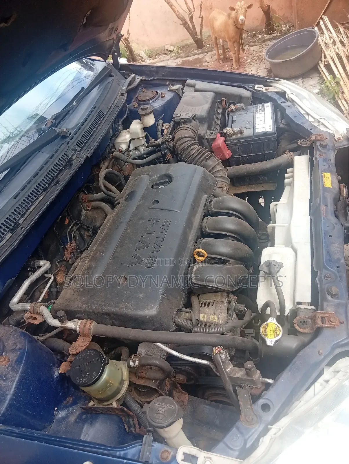 Toyota Corolla LE 2007 Blue