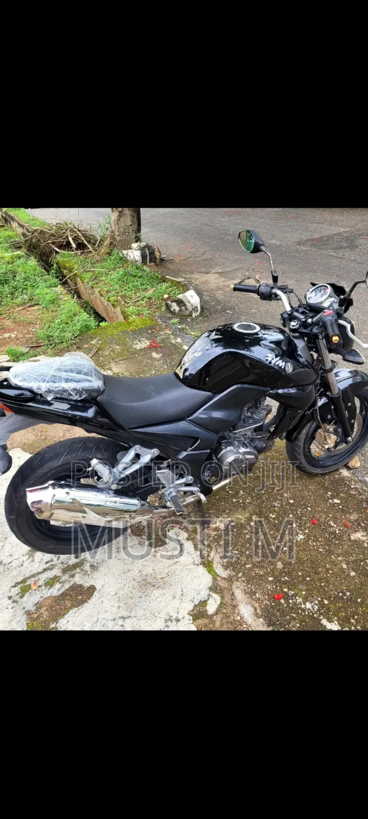 SYM Wolf T1 2024 Black
