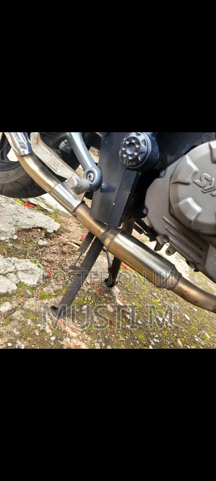 SYM Wolf T1 2024 Black