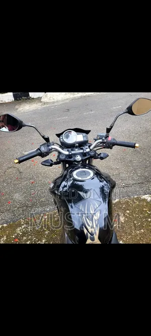 SYM Wolf T1 2024 Black