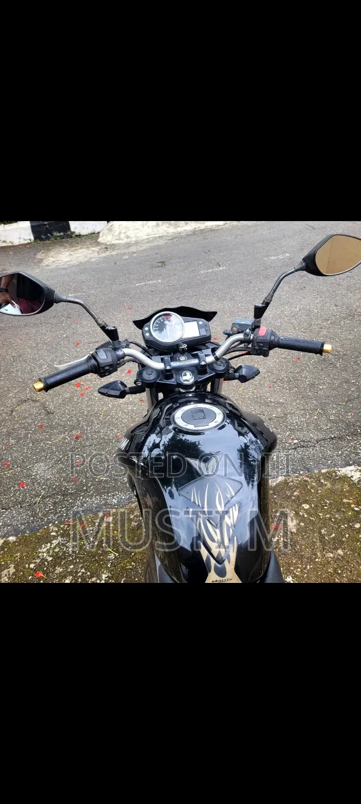 SYM Wolf T1 2024 Black