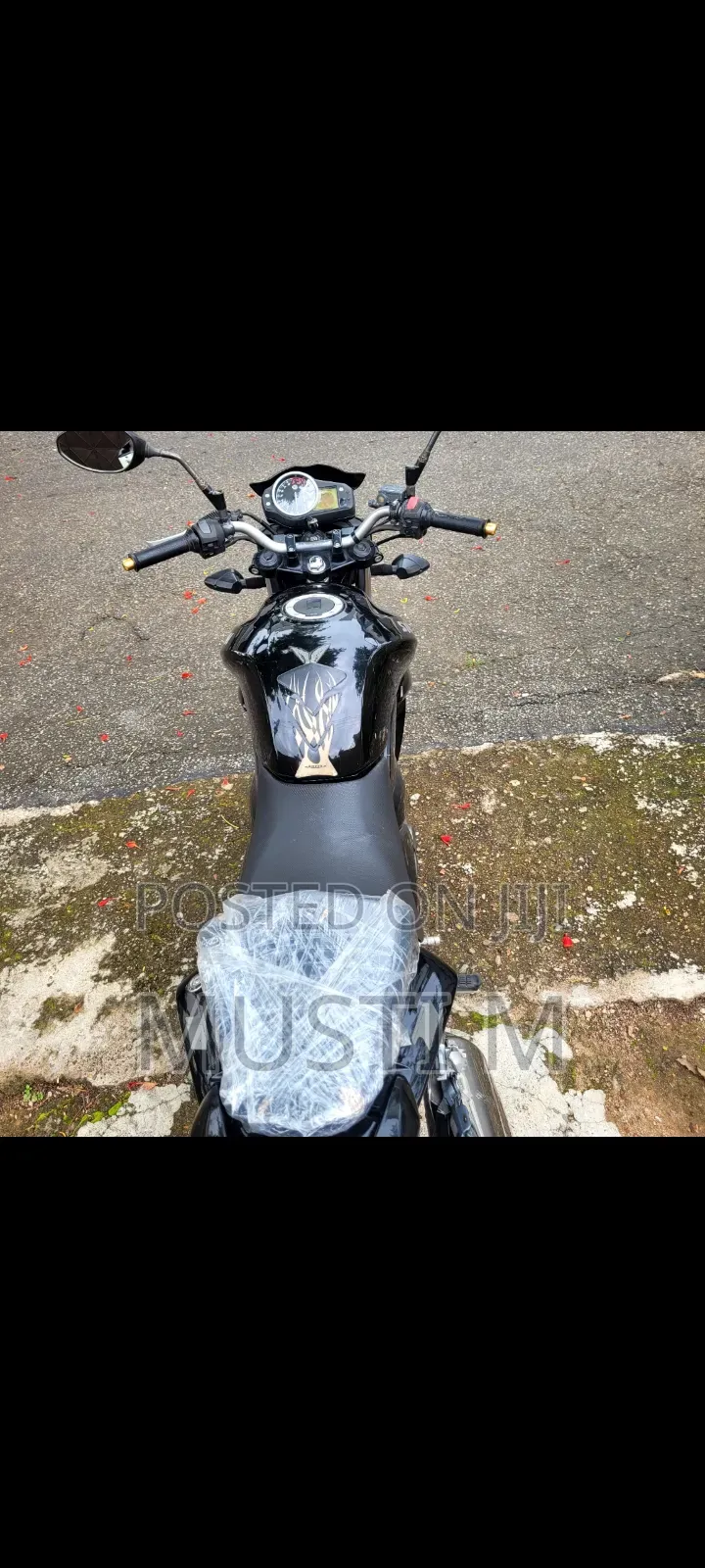 SYM Wolf T1 2024 Black
