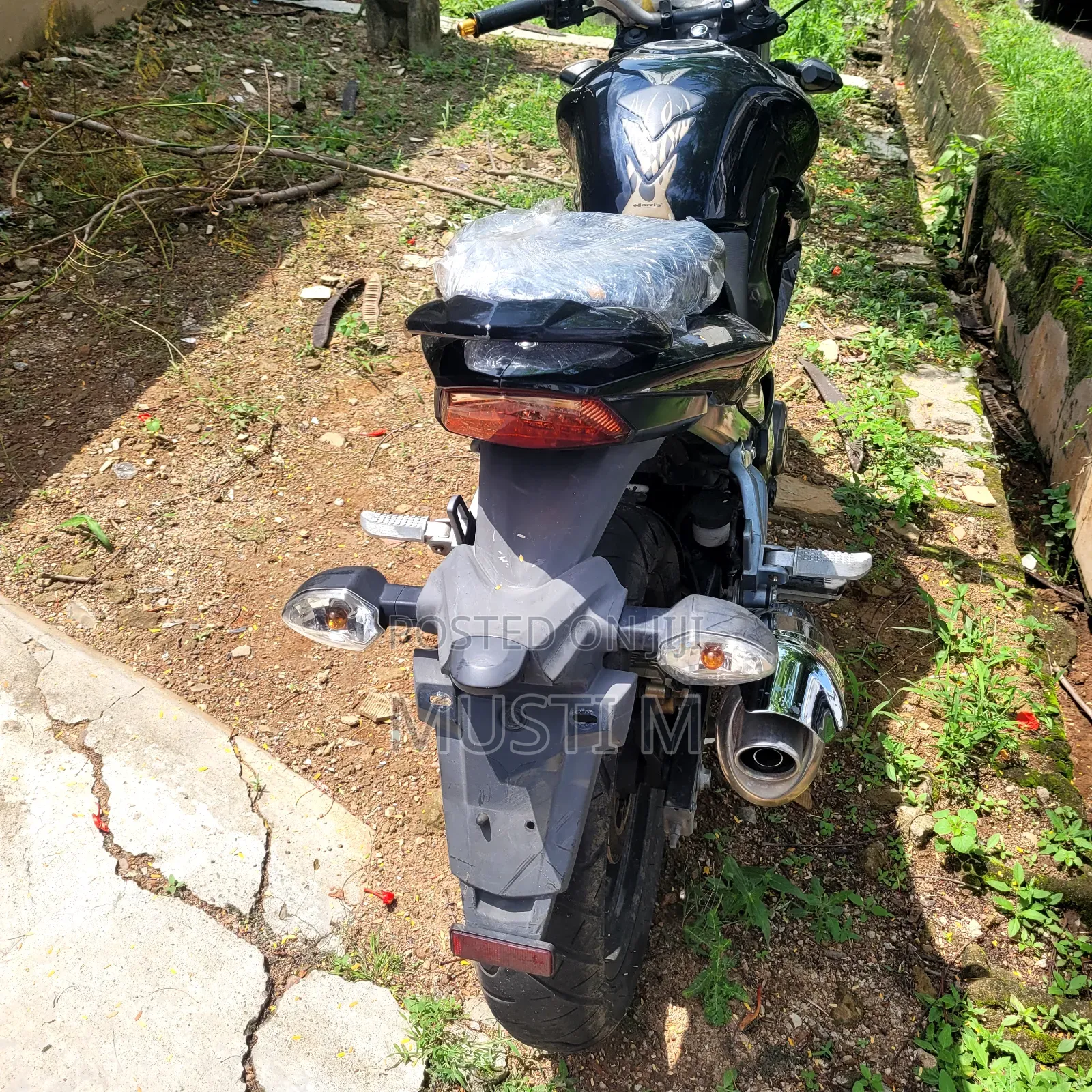 SYM Wolf T1 2024 Black