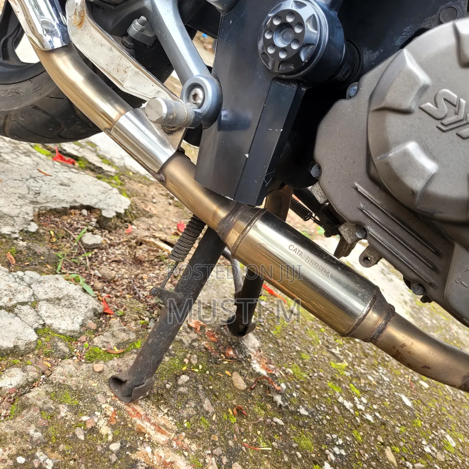 SYM Wolf T1 2024 Black