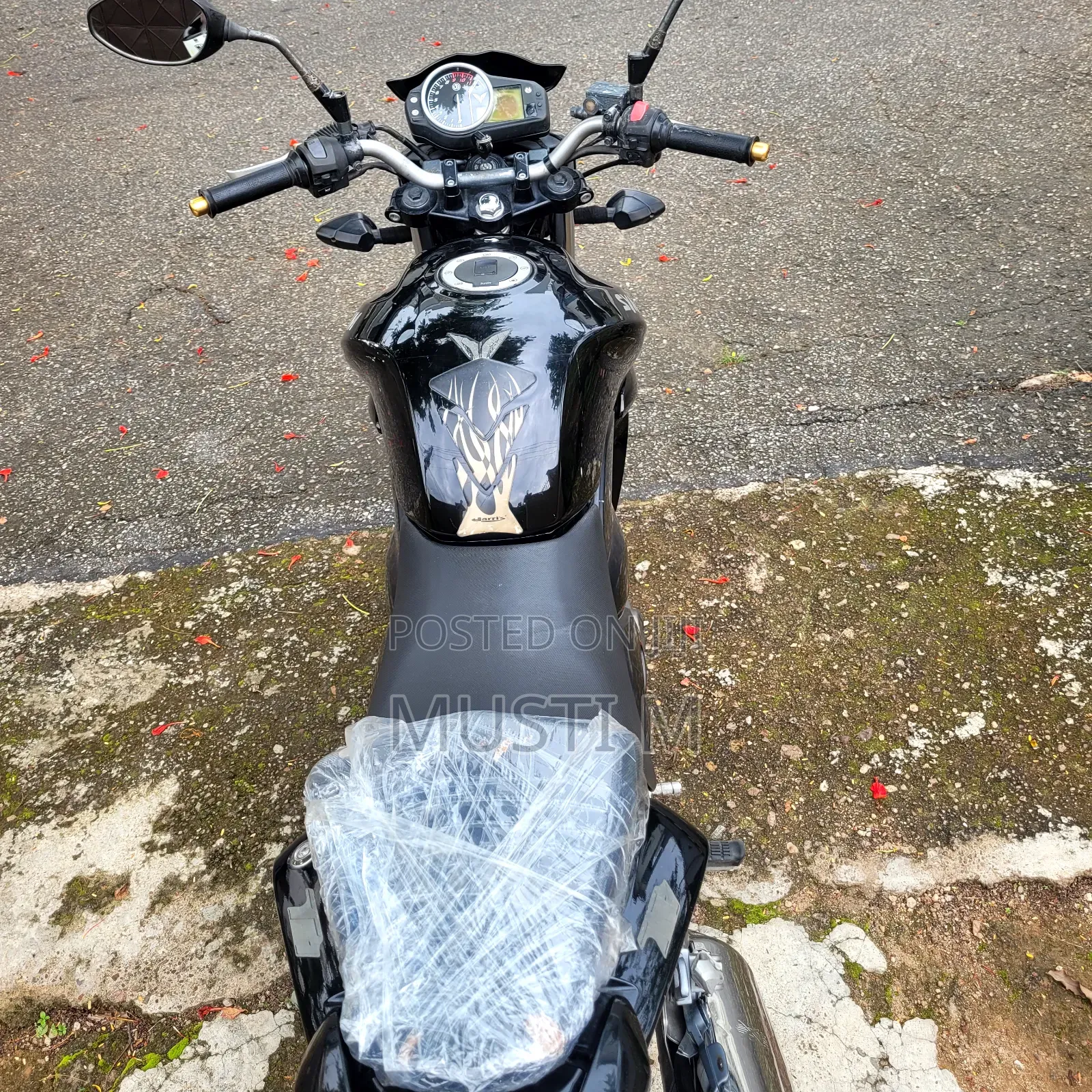 SYM Wolf T1 2024 Black