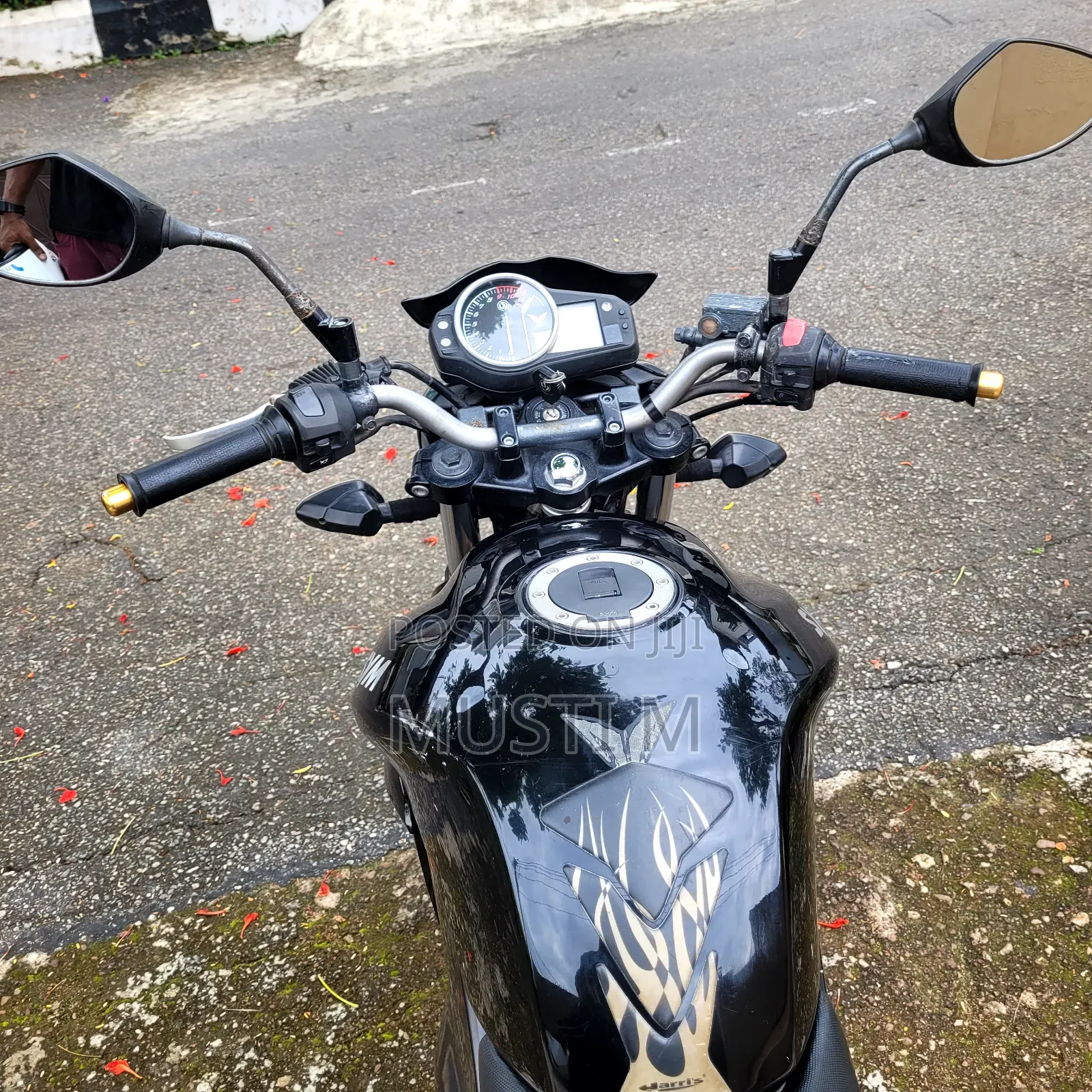 SYM Wolf T1 2024 Black