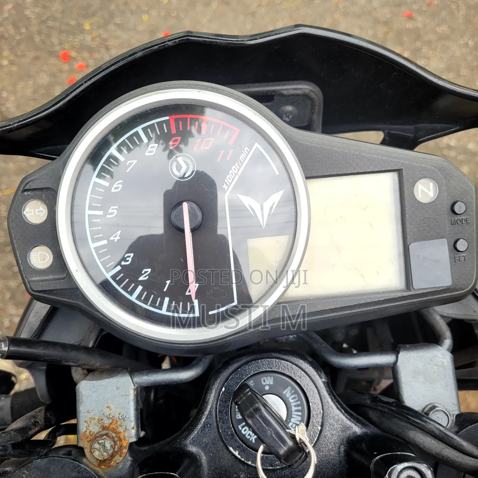 SYM Wolf T1 2024 Black