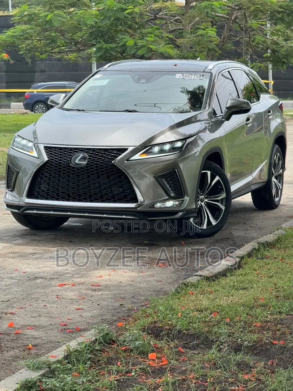 Lexus RX 2020 Gray