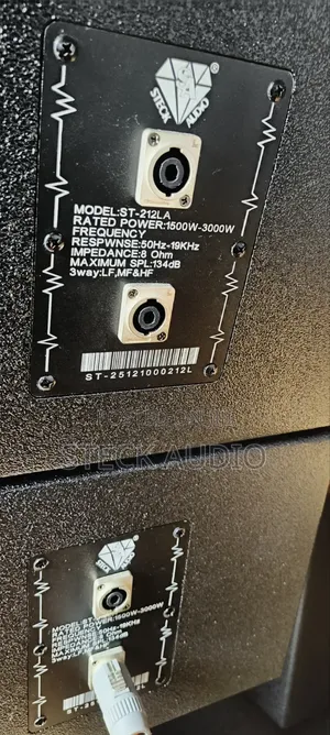 Steck Audio Dual 12" Dual 75.5mm Neodymium Horn Line Arrays