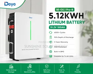5.12kwh 51.2v Lithium Battery - Brand New