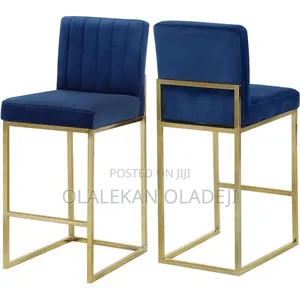 Salon Chair