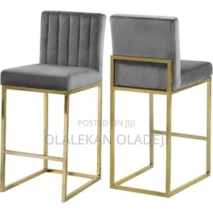 Salon Chair