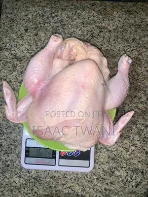 Fresh Frozen Chicken