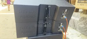 Steck Audio Double 10" Neodymium Woofer and 75.5mm Tweeter Horn Line