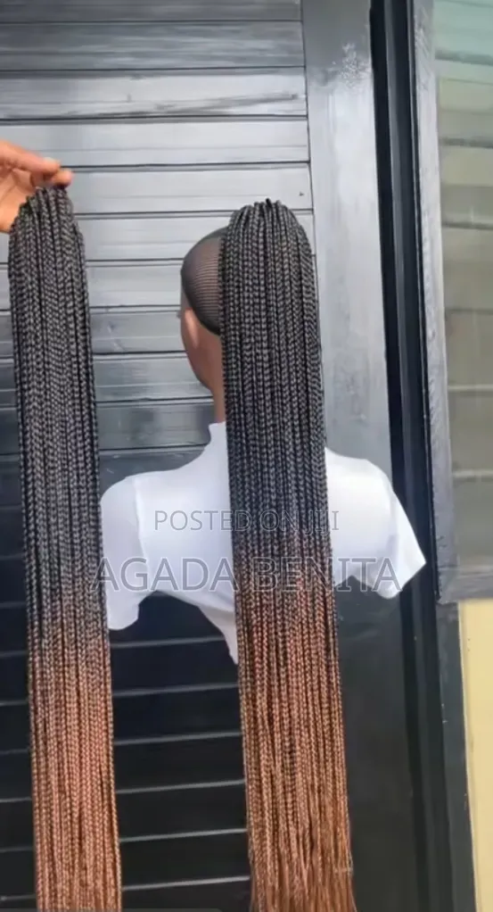 Braided Ponytail Wig