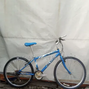 Plain Mountain Bicycle