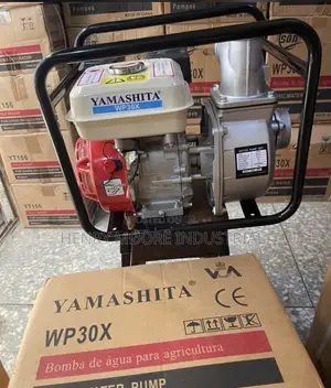 3” Inches Surface Water Pump 6.5hp