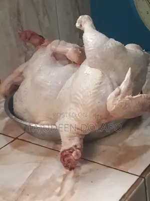 Soft Chicken