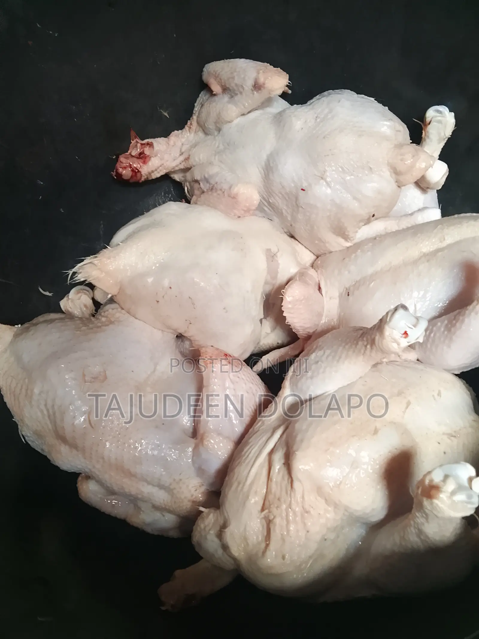 Soft Chicken