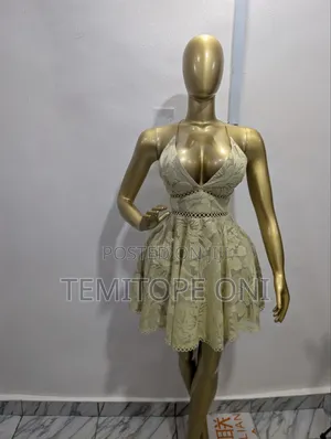 Sample Lace Dress
