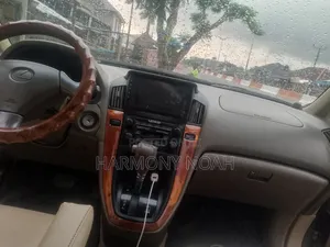 Lexus RX 2008 Gray