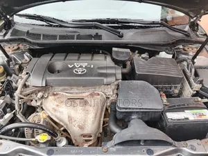 Toyota Camry 2010 Gray