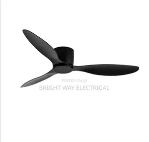 Fancy Fans