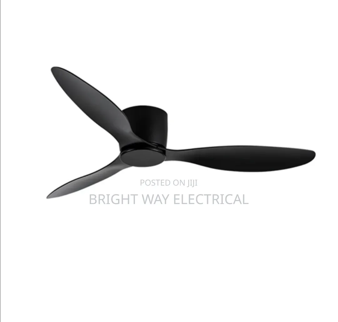 Fancy Fans