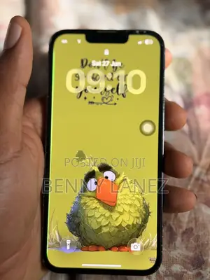 Apple iPhone 13 Pro 256 GB Green