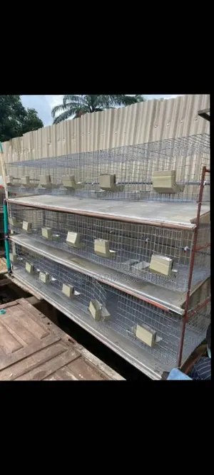 Success Poultry Equipment