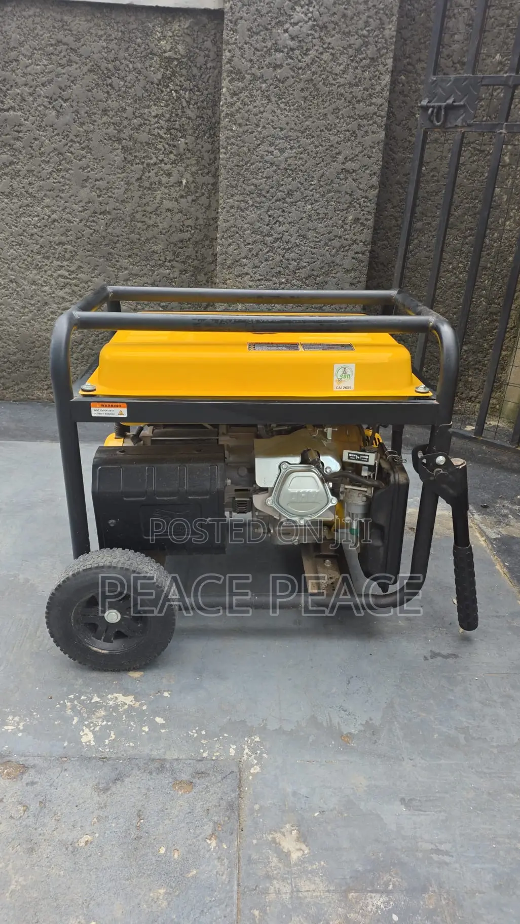 Electric Generator