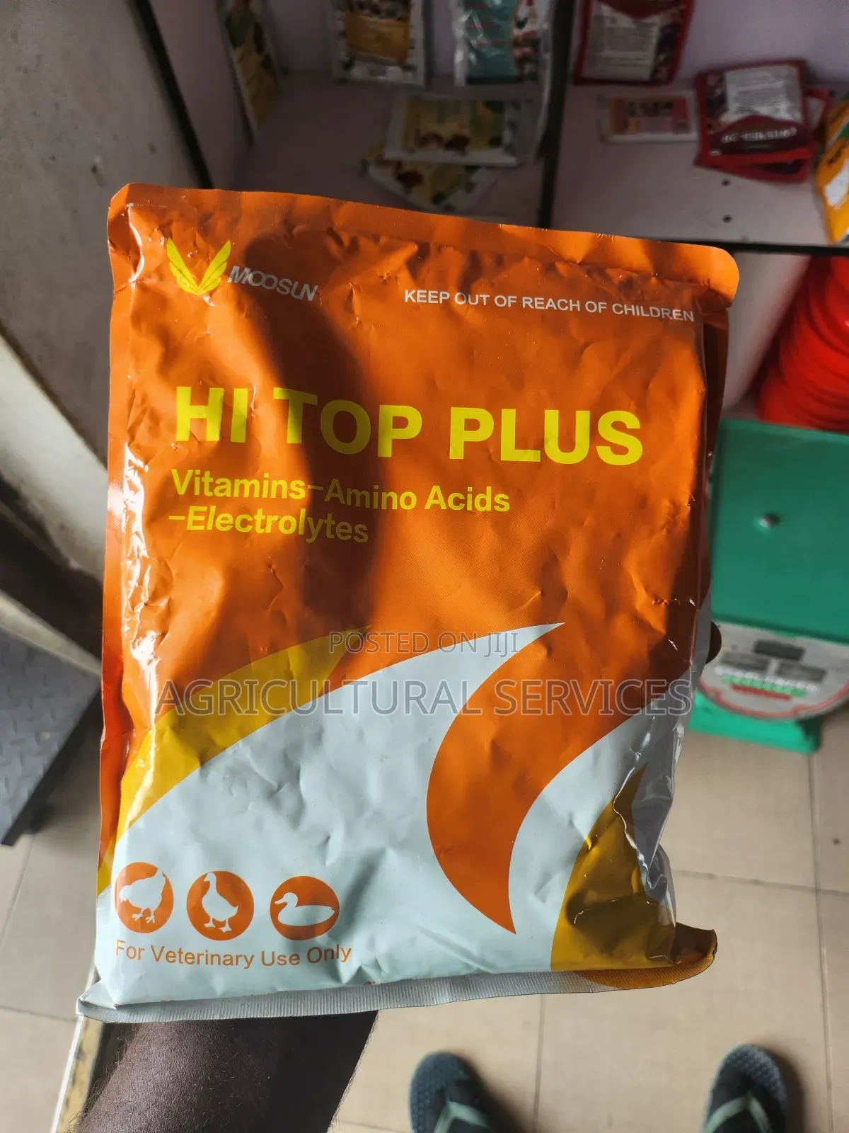 Hi Top Plus
