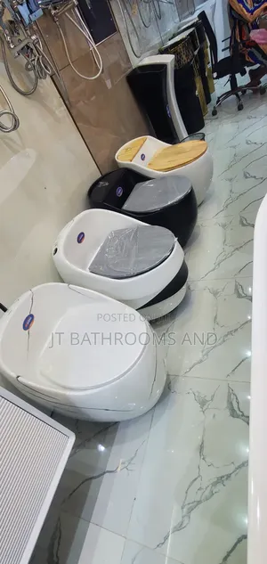 Luxury Surface Water Closet With Concealed Tank