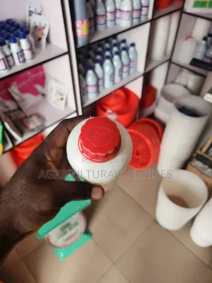 Kachcal D + Calcium Suspension