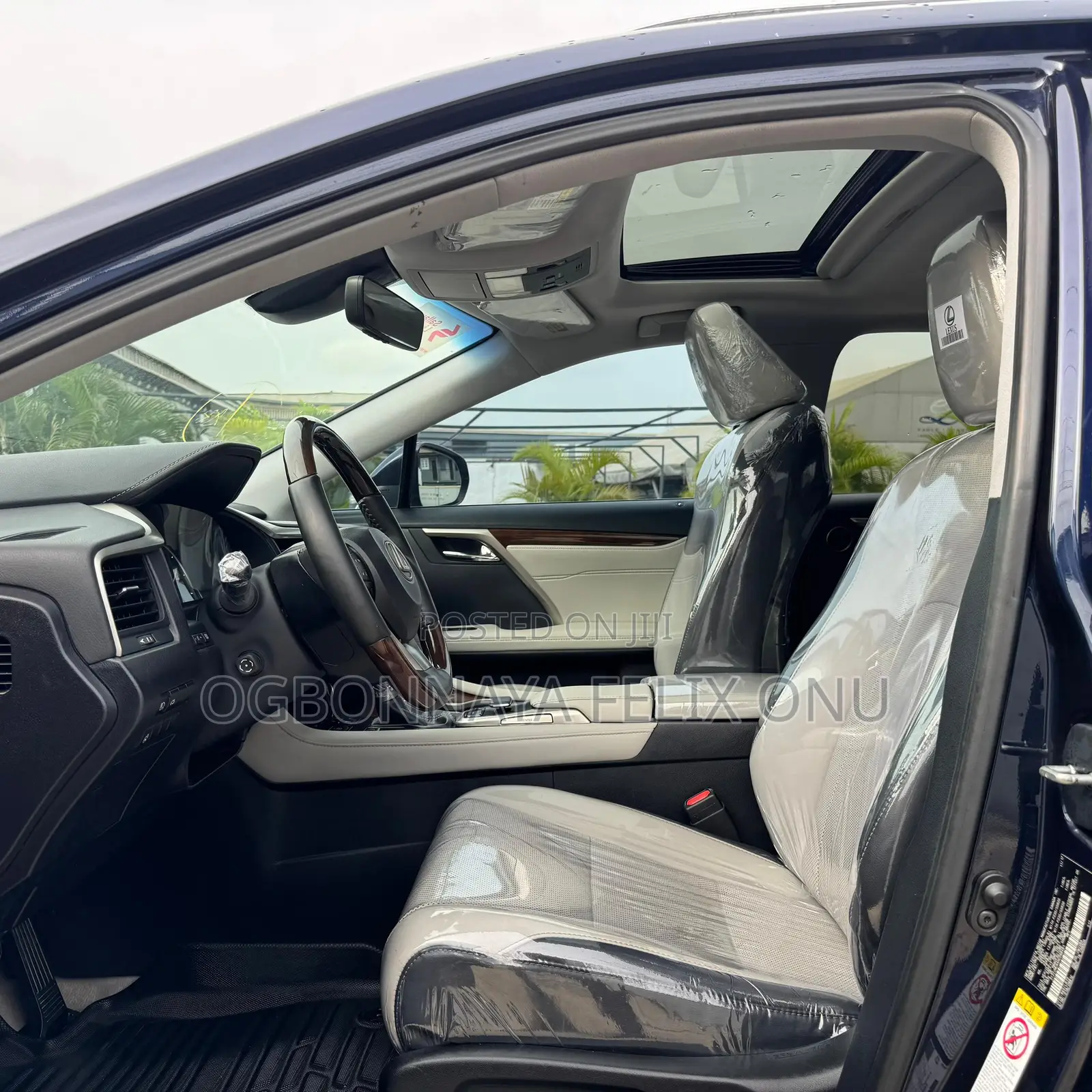 Lexus RX 2018 Blue