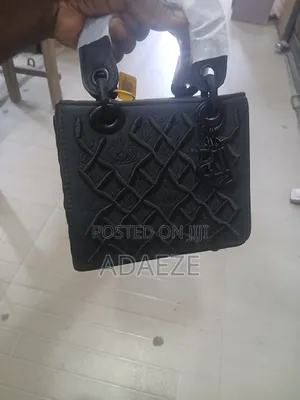 Ladies Handbag