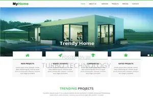 Website Design and Development