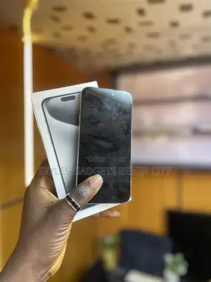 Apple iPhone 15 Pro Max 256 GB Silver