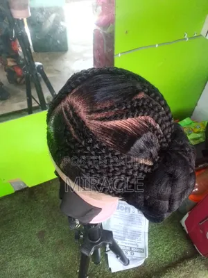 Ready to Wear -Premium Synthetic Braided Wig
