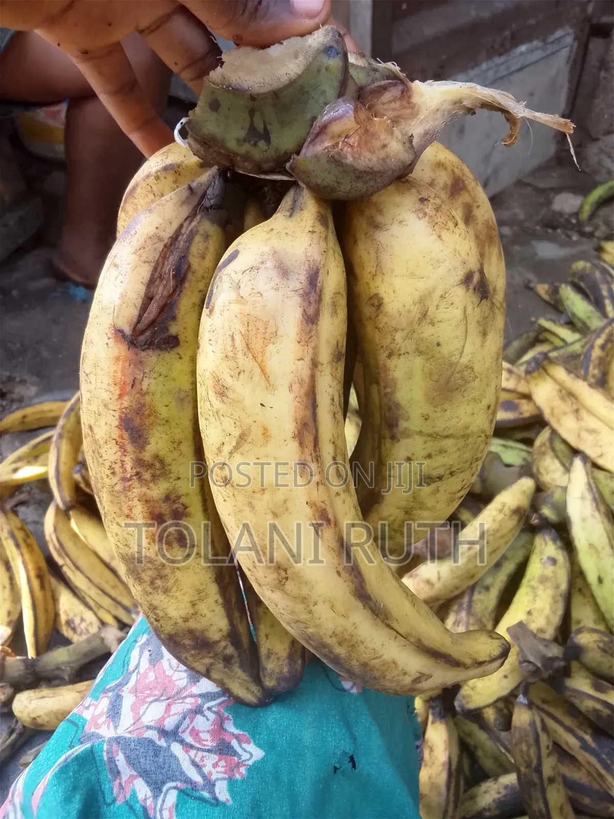 Plantain for Ur Likes