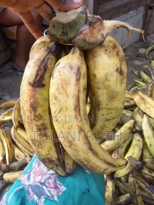 Plantain for Ur Likes