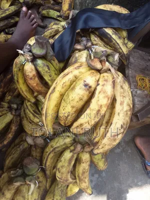 Plantain for Ur Likes