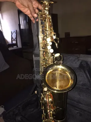 Kevinson Semi Professional Alto Sax