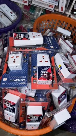 Electronic Surge Protector