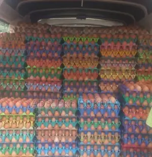 Eggs Straight From Poultry