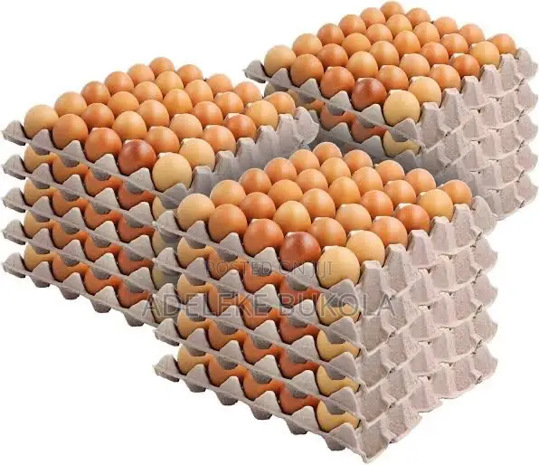 Eggs Straight From Poultry