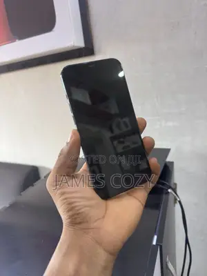 Apple iPhone 12 Pro Max 128 GB Blue