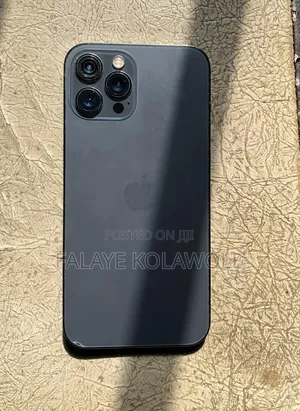 Apple iPhone 12 Pro Max 128 GB Gray