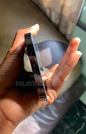 Apple iPhone 12 Pro Max 128 GB Gray